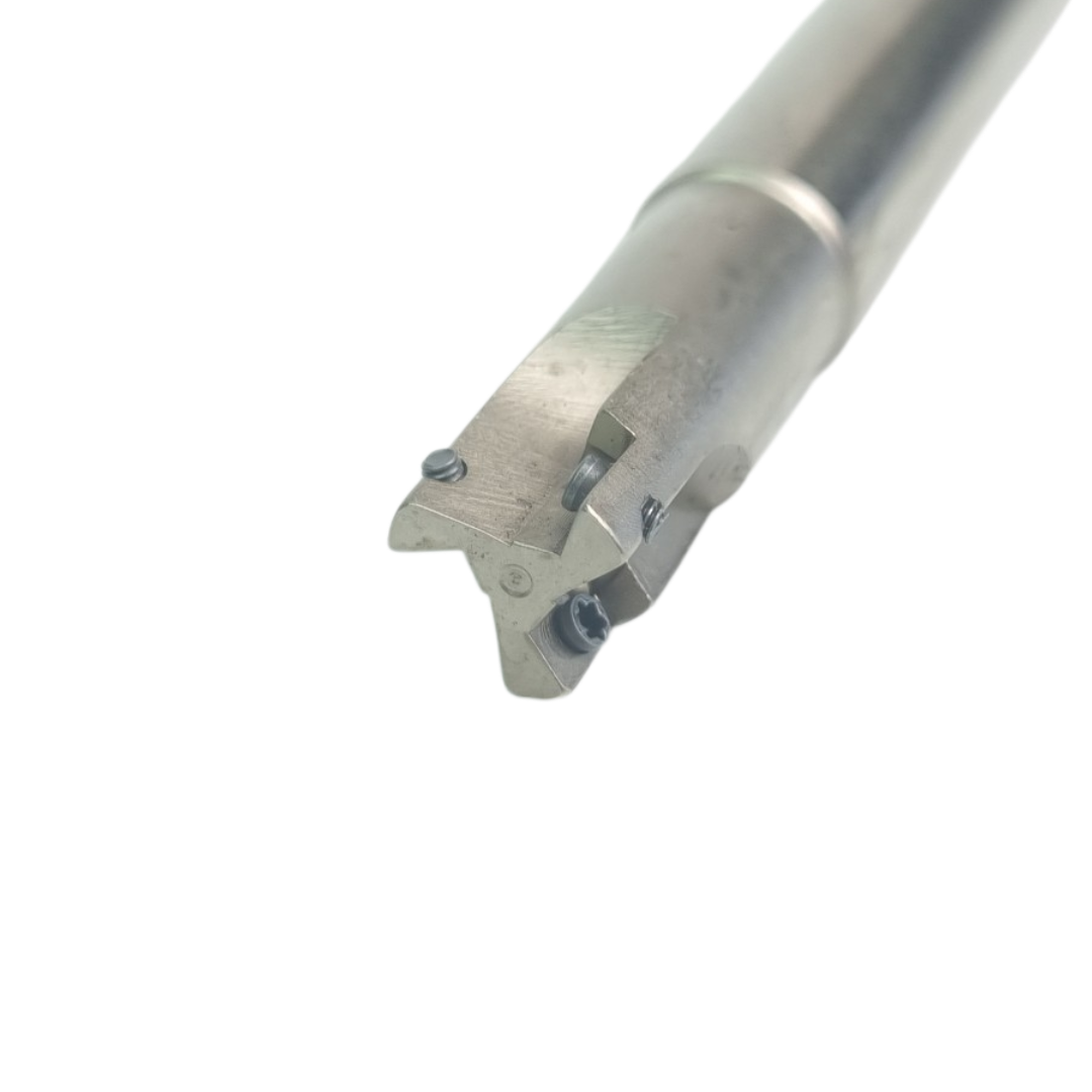 20260819_100437 (1) 20260819_100437 (1)
